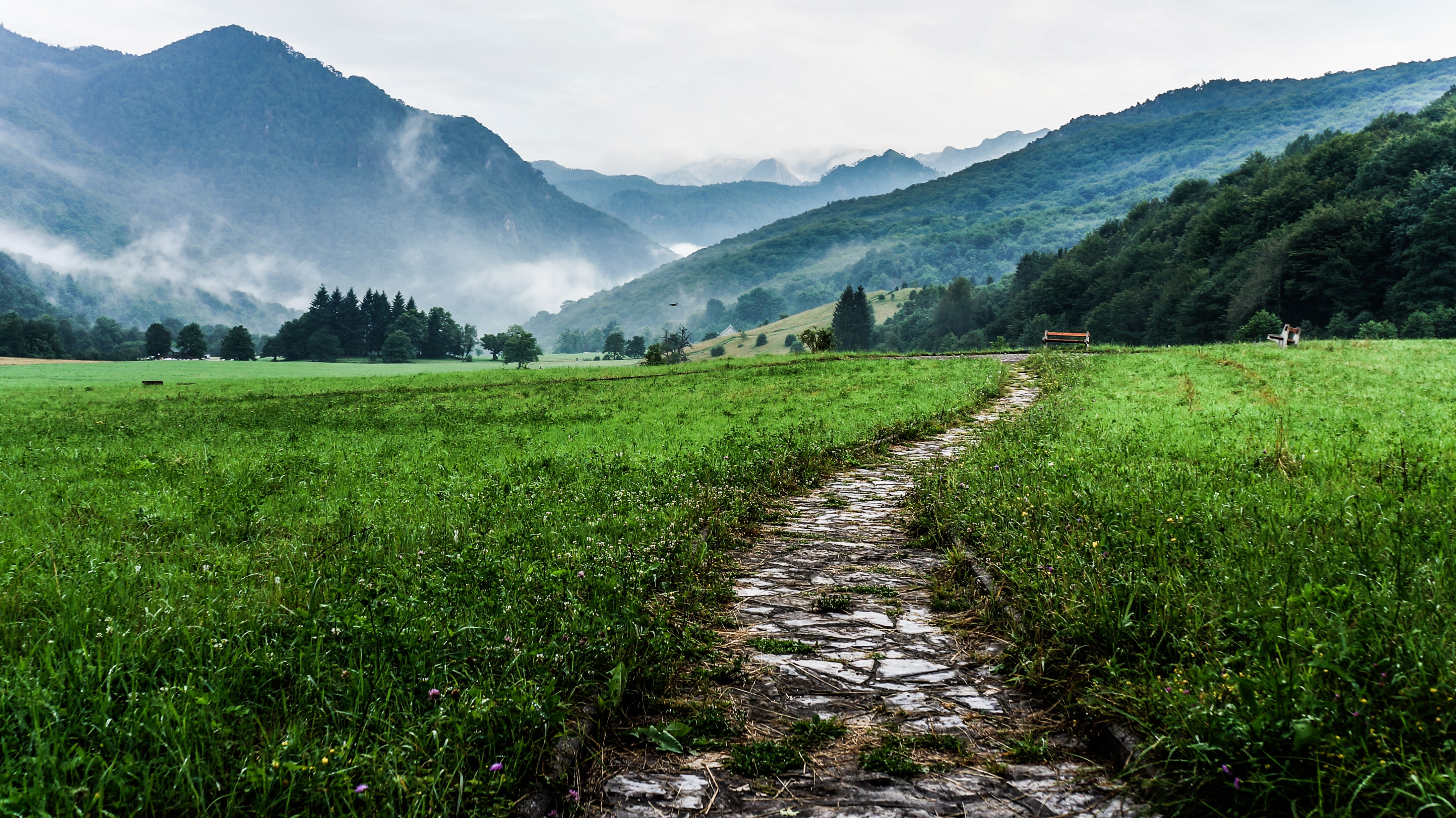 image from The Middle Path of Planning and Reflection