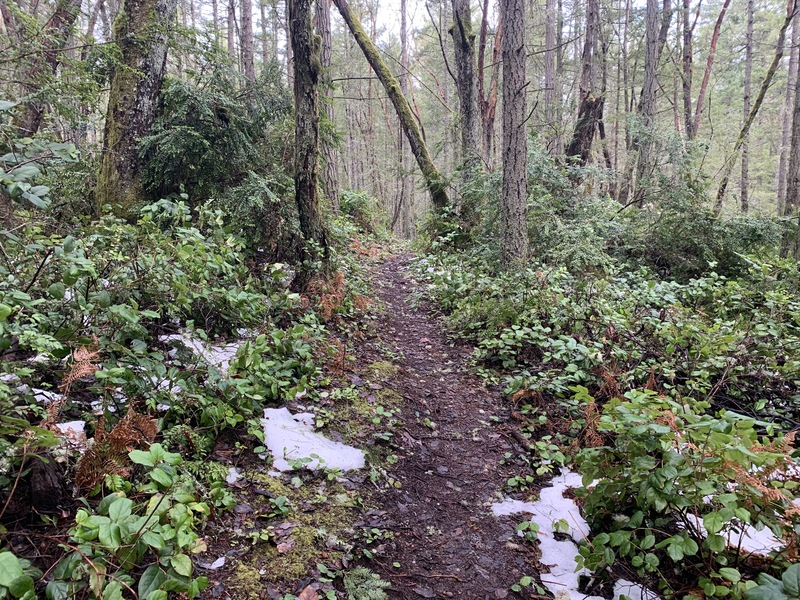 Max Out vs. Continuous Development